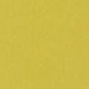 CPB 137 Trici Yellow