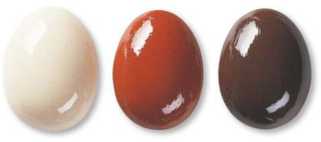 210 Прозора, 7910