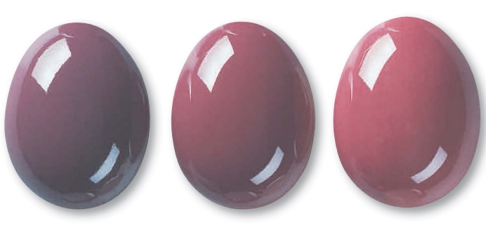 213 Вілдрозе 7913