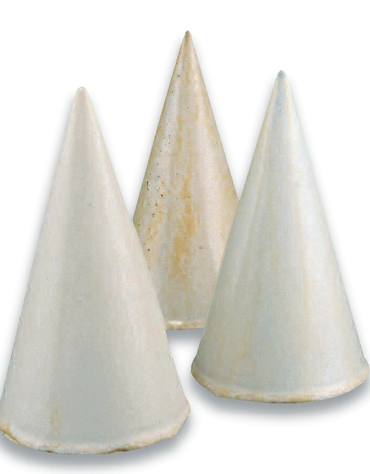 2216 Мушелвайс 8816