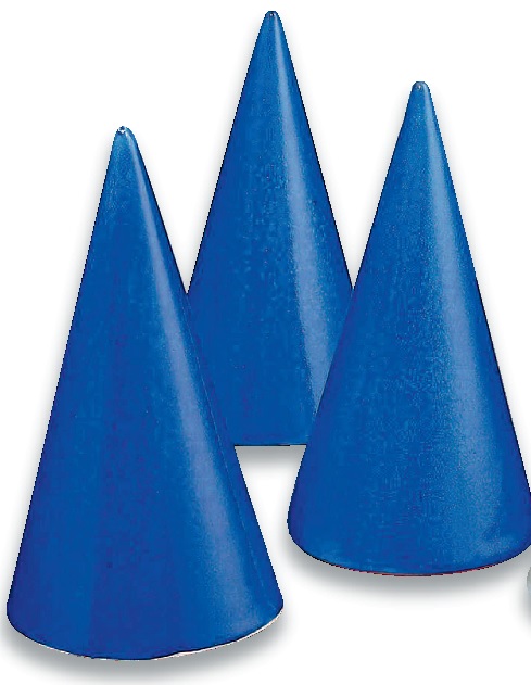 231 Е Капри, 7931Е