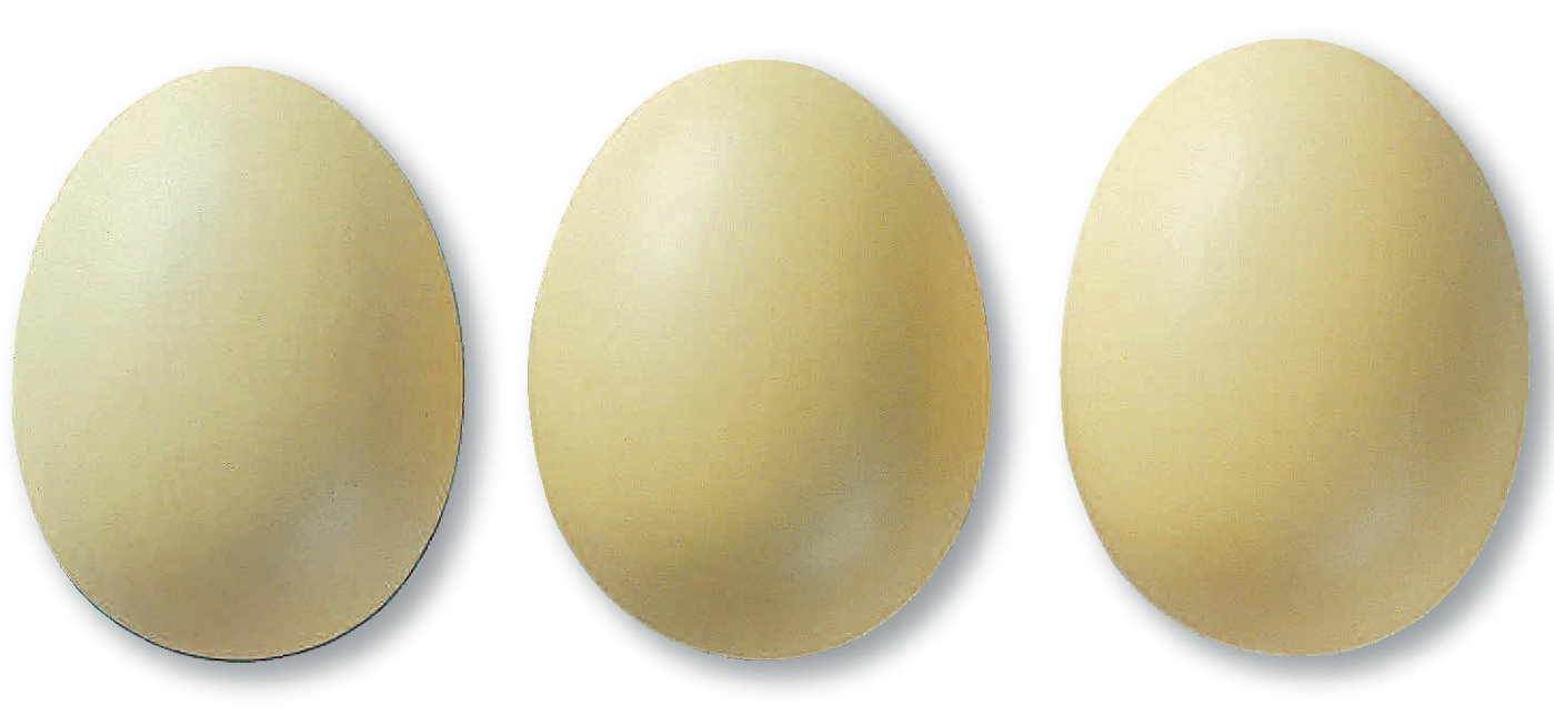 305 Ванилле 7805