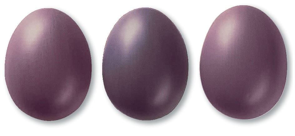 306 Аубергине 7806