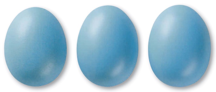 318 Тюркісблау матт 7818