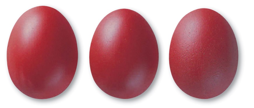 325 Ротт матт 7825