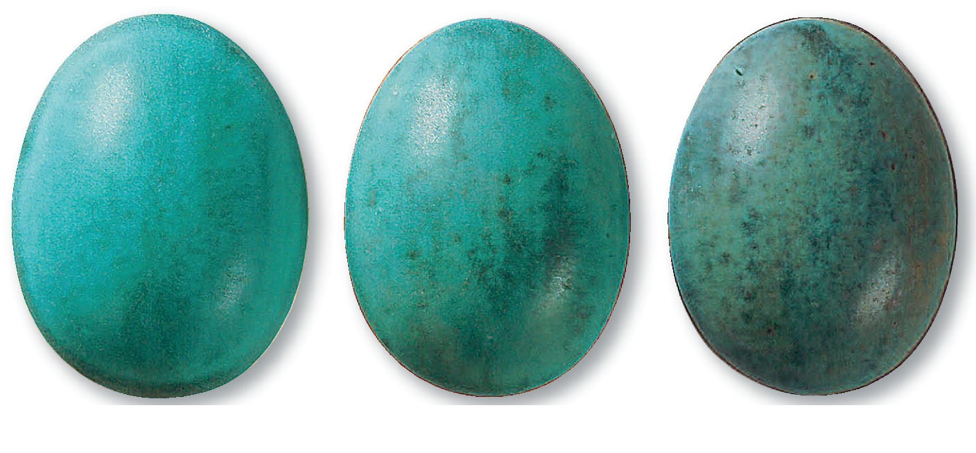 367/Лагуна, 7867 (1020-1080 С)