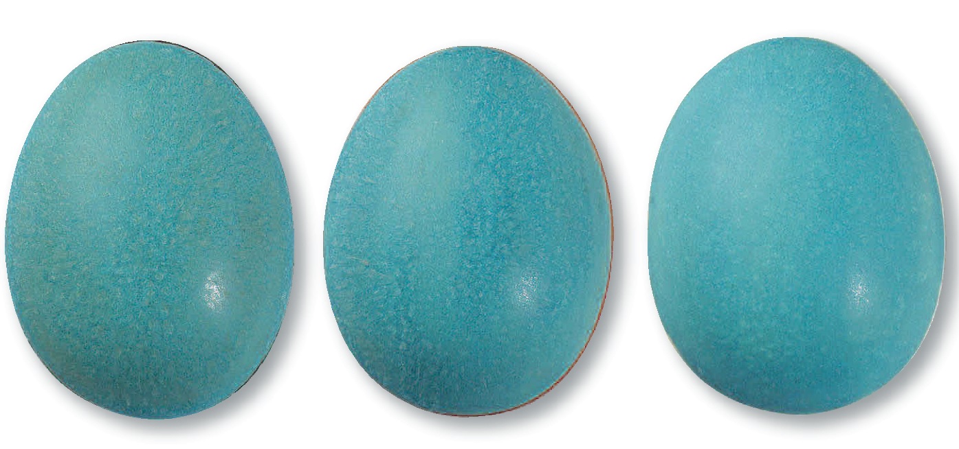 371 Блаутюркис 7871