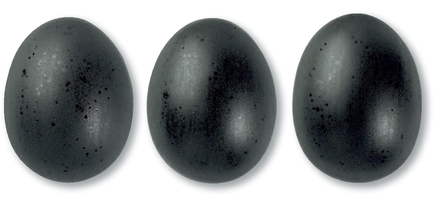 372/Еміненз, 7872 (1020-1080 С)