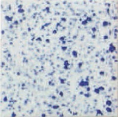 50020-00 Шпекс кобальтблау