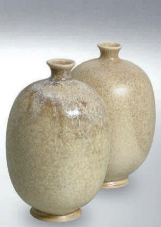 608 Дромедар 8208